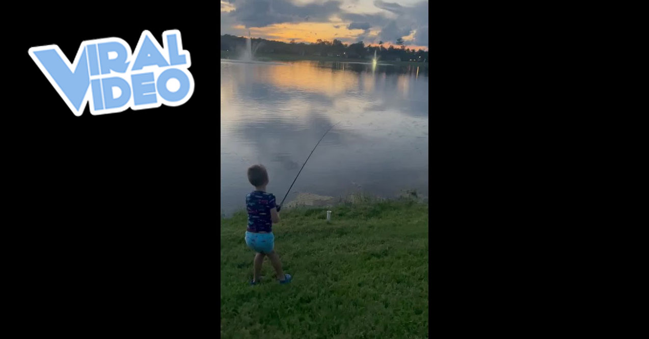 Viral Video: Watch a Gator Snatch a Little Boy's Fish